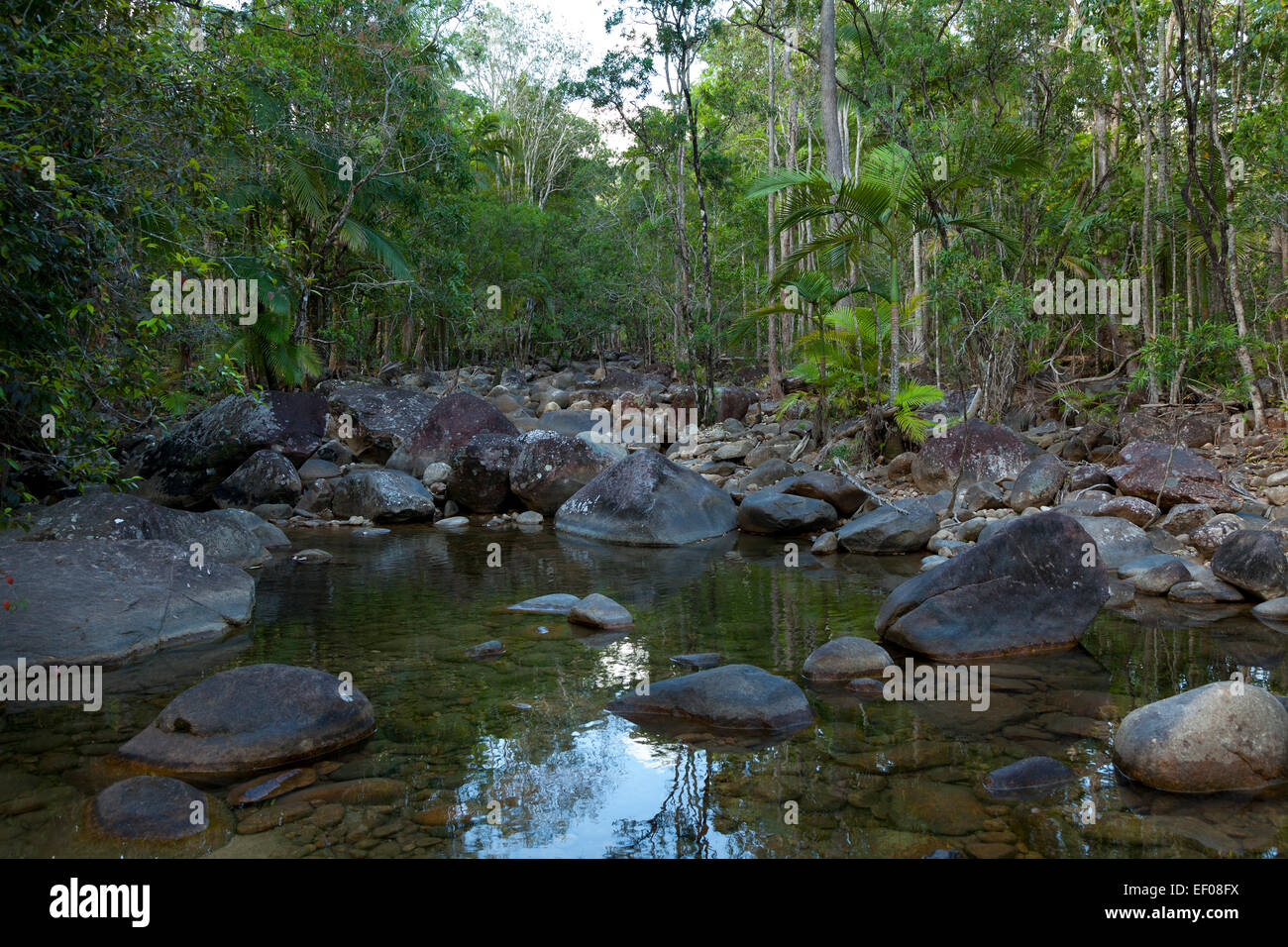 Wasser und Felsen im Finch Hatton Gorge, Queensland, Australien Stockfoto