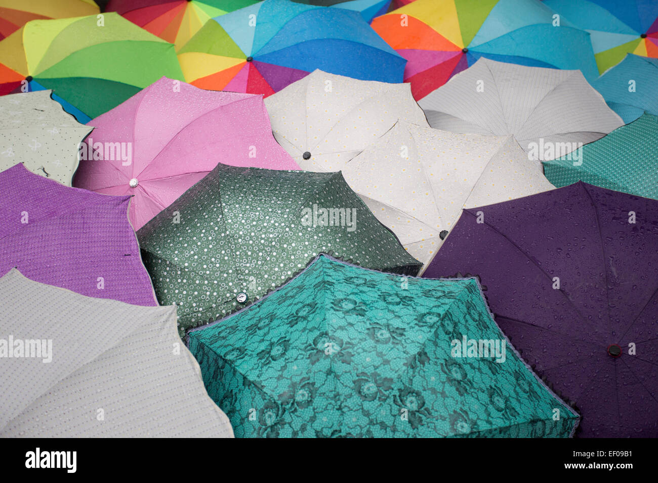 Schirme im Regen sind geschichtet und sogar für Hintergrund oder Schablone mit Wassertropfen Stockfoto