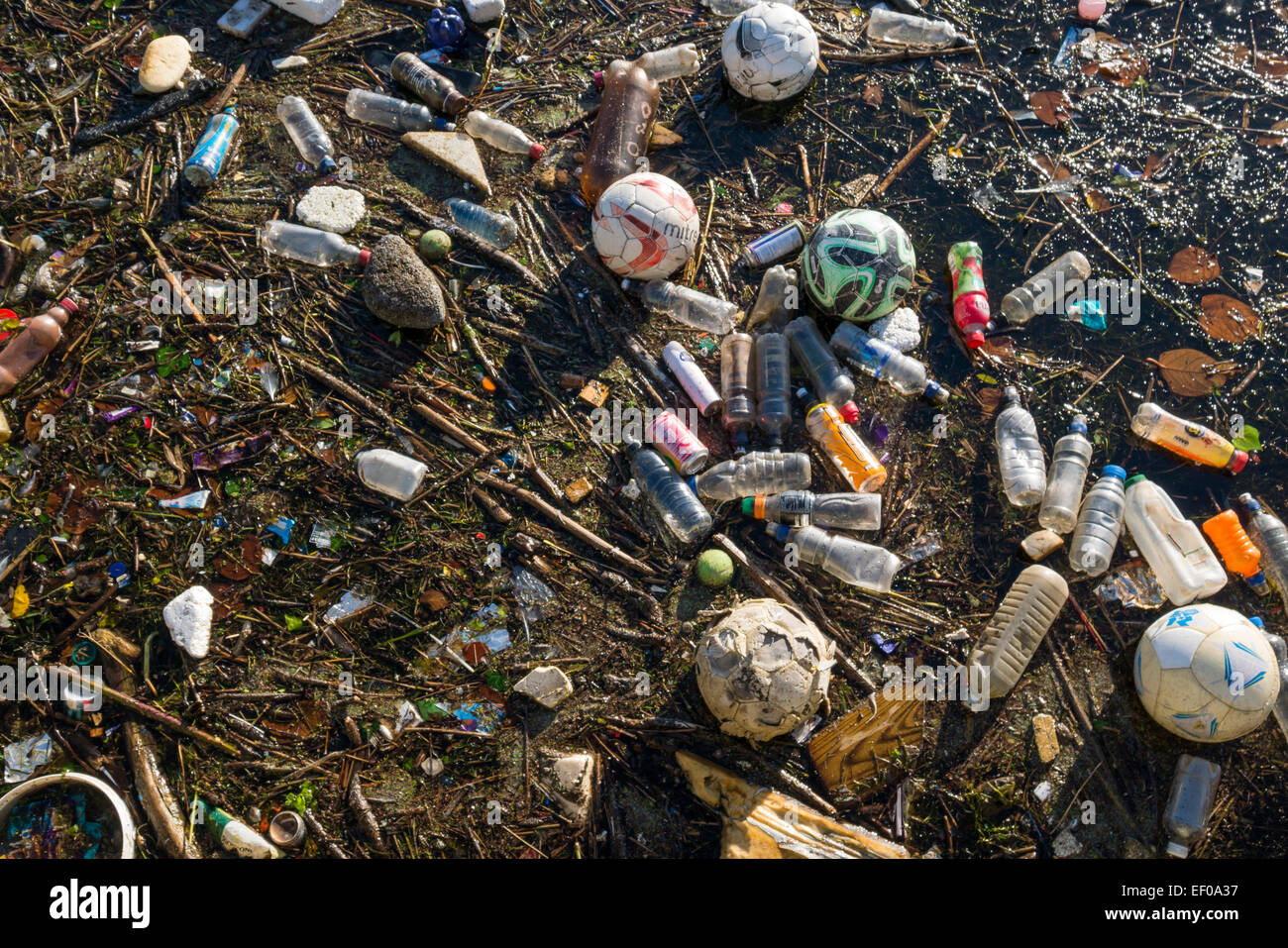 Müll schwimmt auf der Oberfläche des Wassers Stockfoto