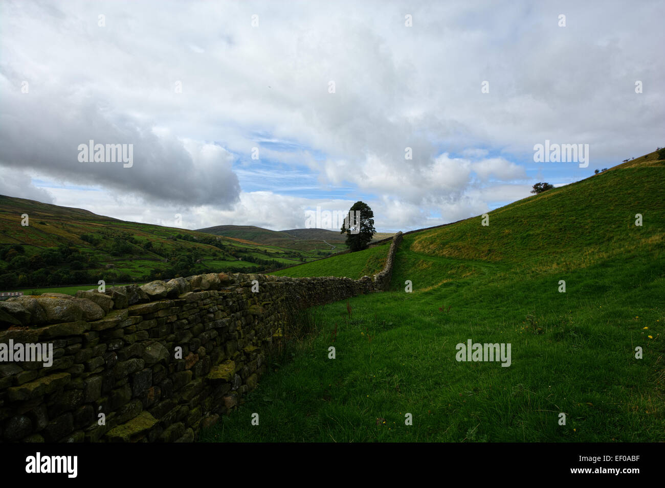 Swaledale in der Yorkshire Dales National Park, North Yorkshire Stockfoto