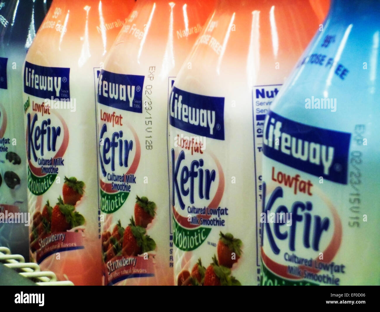 Container von Lifeway Foods Marke Kefir in einem Supermarkt Kühler am Mittwoch, 21. Januar 2015 in New York. Lifeway Lebensmittel, 1986 gegründet, ist einen Verkauf des Unternehmens untersucht. Die Marke hat in Großbritannien und Kanada erweitert und seiner Aktionen gestiegen. (© Richard B. Levine) Stockfoto