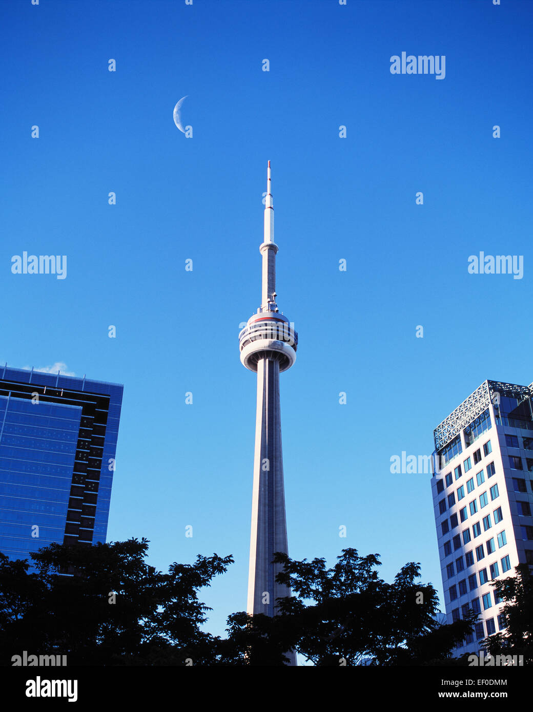 CN Tower und Bürogebäuden, Toronto Ontario Stockfoto