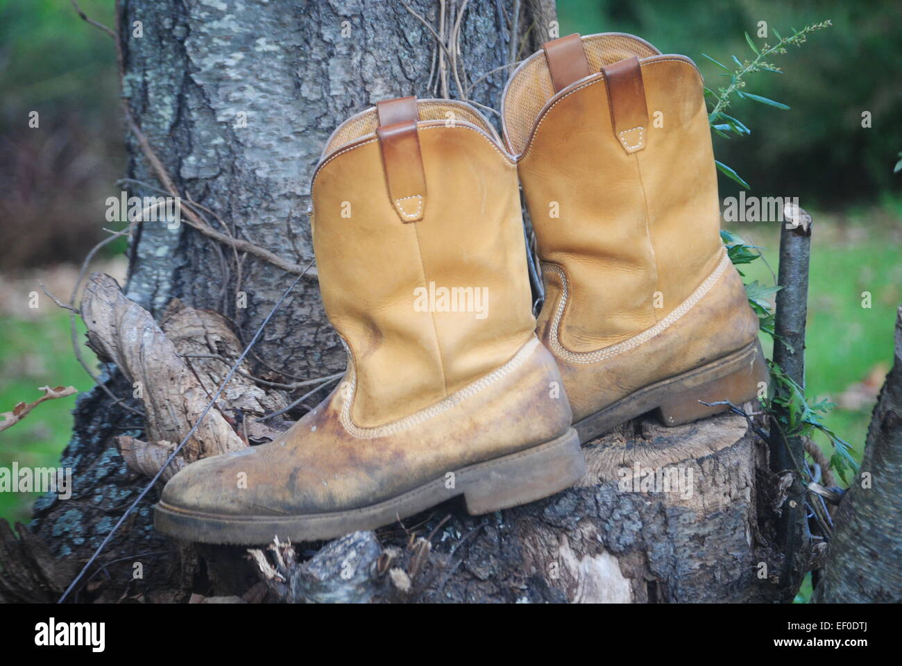 Stiefel Stockfoto