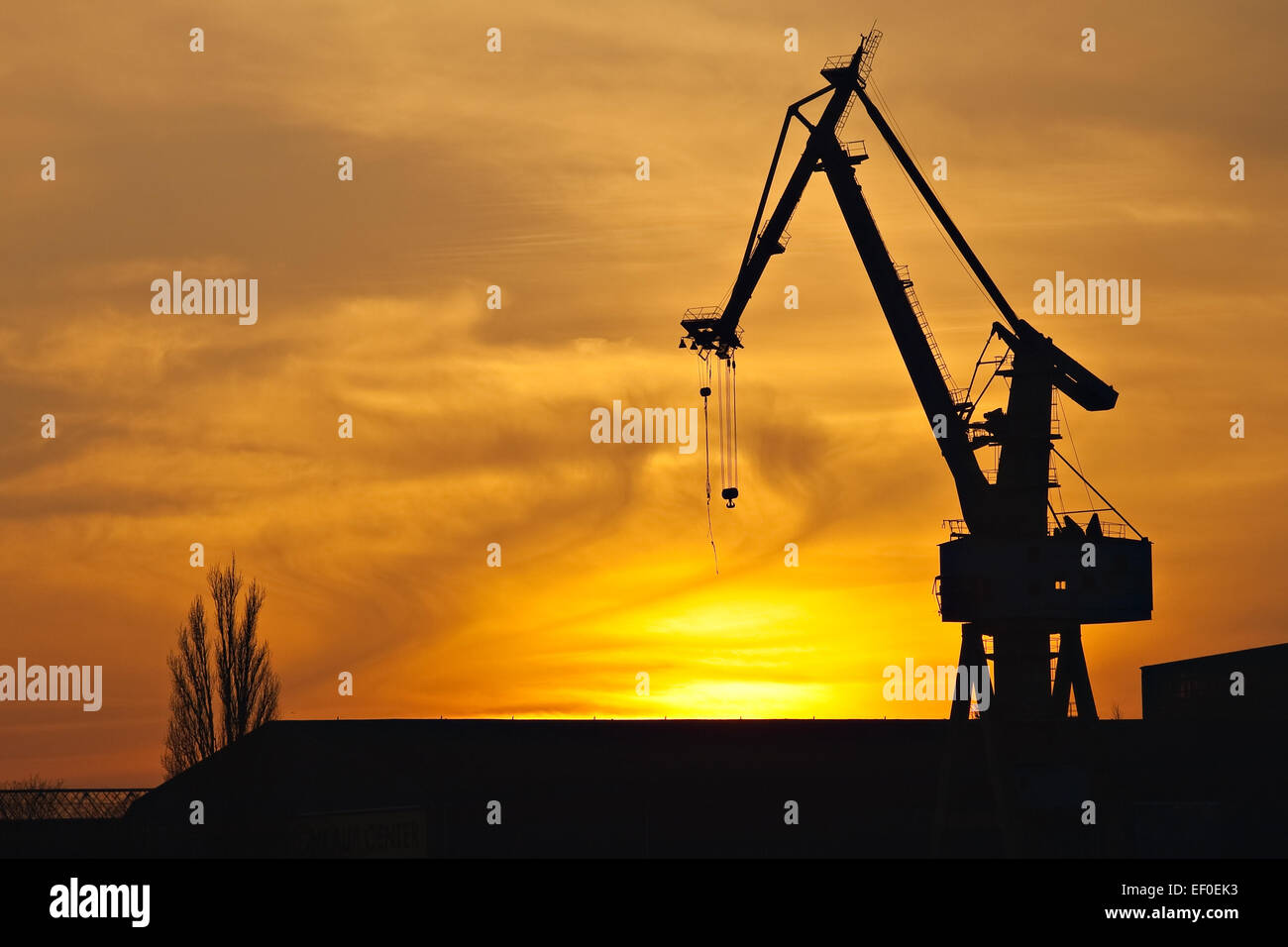 Port-Kran in den Sonnenuntergang. Stockfoto