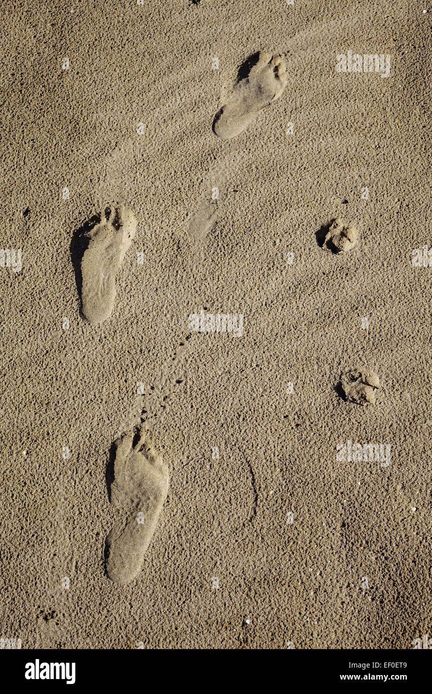 fu-spuren-am-strand-bilder-und-fotos-chaingang-design