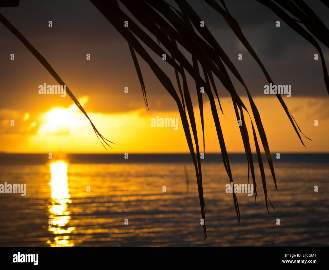 Caye Caulker Insel in Belize Stockfoto