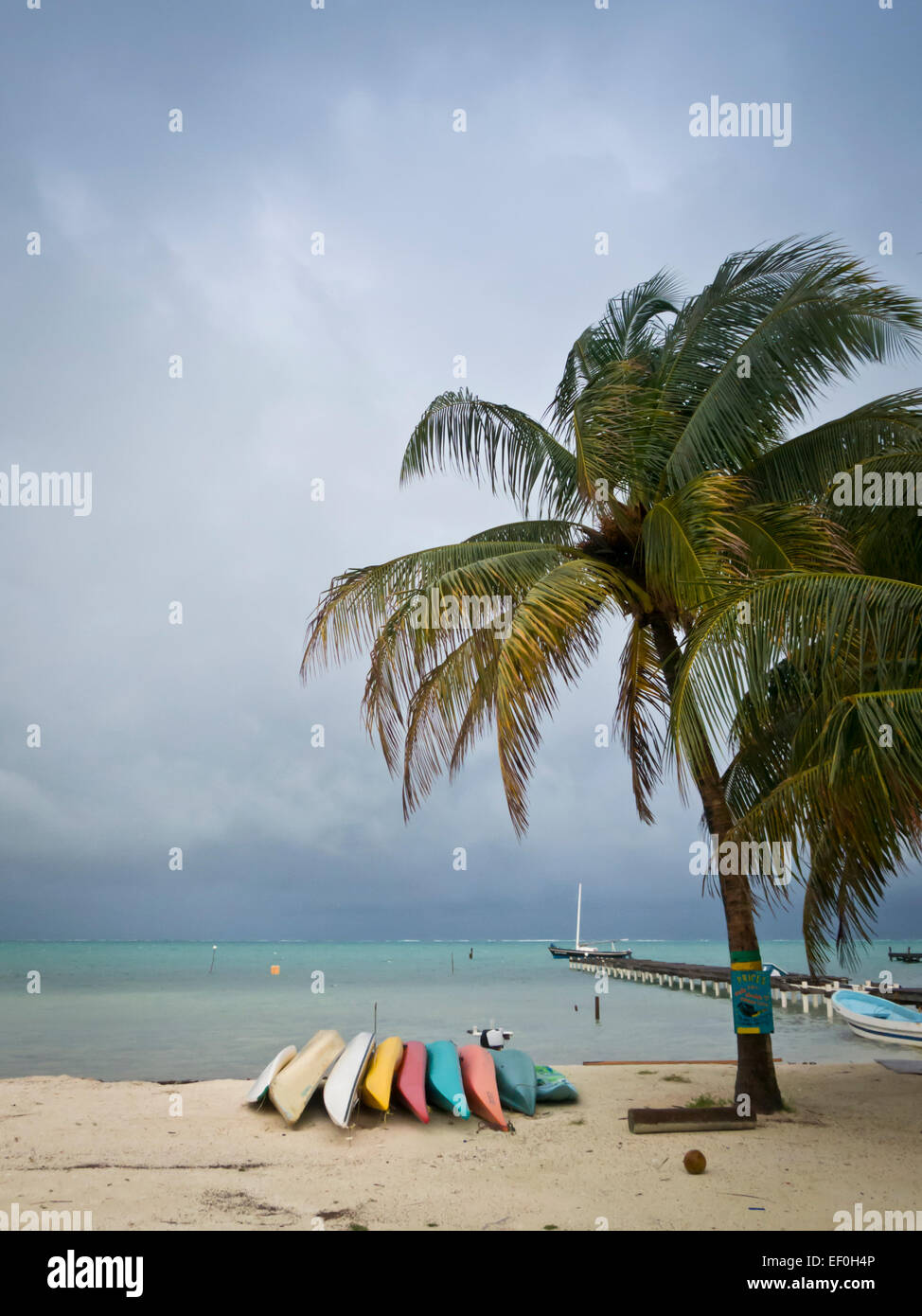 Caye Caulker Insel in Belize Stockfoto