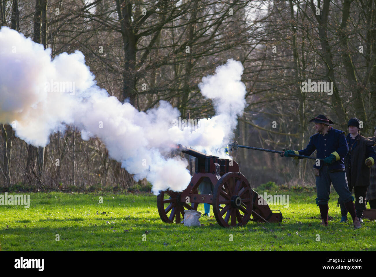 Explodierende feuern Canon in Crewe, Cheshire, UK. 24. Jan 2015. Holly heiligen Tag & Belagerung von Nantwich Re-enactment mit artillerie als falconet oder Falcon, das war eine leichte Kanonen seit über 40 Jahren den Gläubigen Truppen der versiegelten Knoten in der historischen Altstadt für eine spektakuläre re gesammelt haben - Verabschiedung der blutigen Schlacht, die fast vor 400 Jahren stattfand und markiert das Ende der langen und schmerzhaften Belagerung der Stadt während des Englischen Bürgerkriegs bekannt Stockfoto