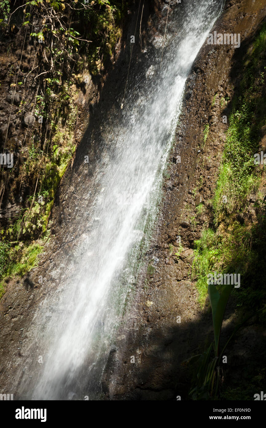 Wasserfall am Atitlan Butterfly Sanctuary, Panajachel, Guatemala Stockfoto