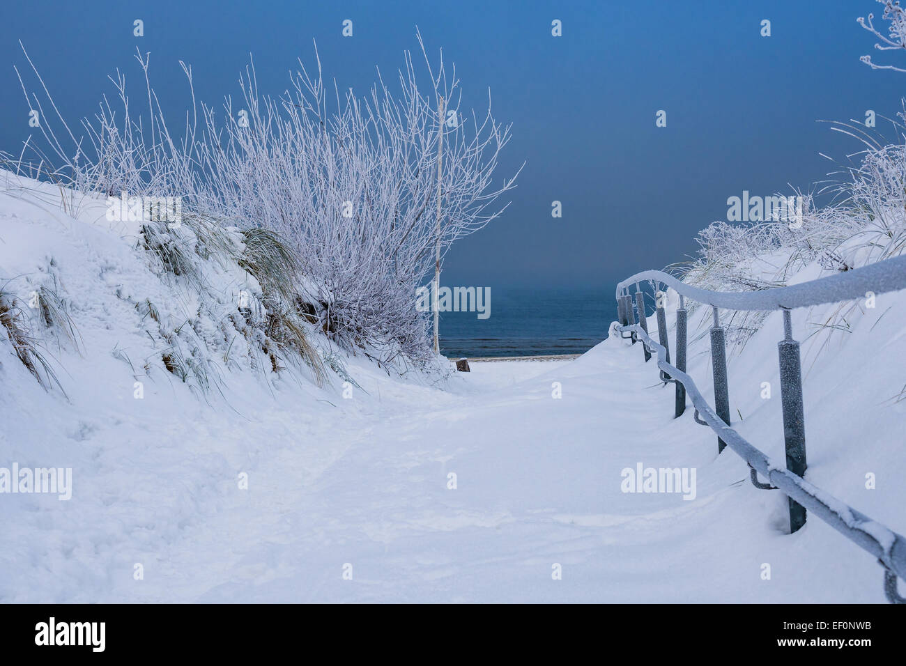 Winter am Ufer der Ostsee. Stockfoto