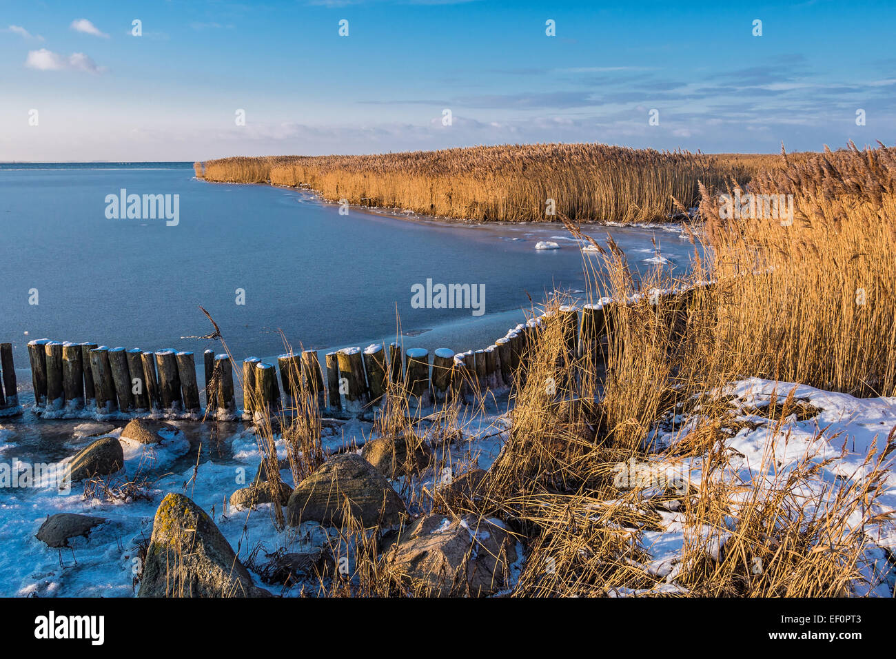 Landschaft am Ufer der Ostsee in Deutschland. Stockfoto