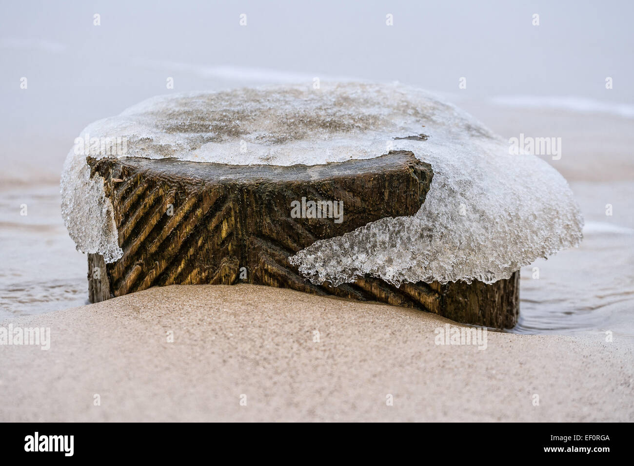 Buhne am Ufer der Ostsee. Stockfoto