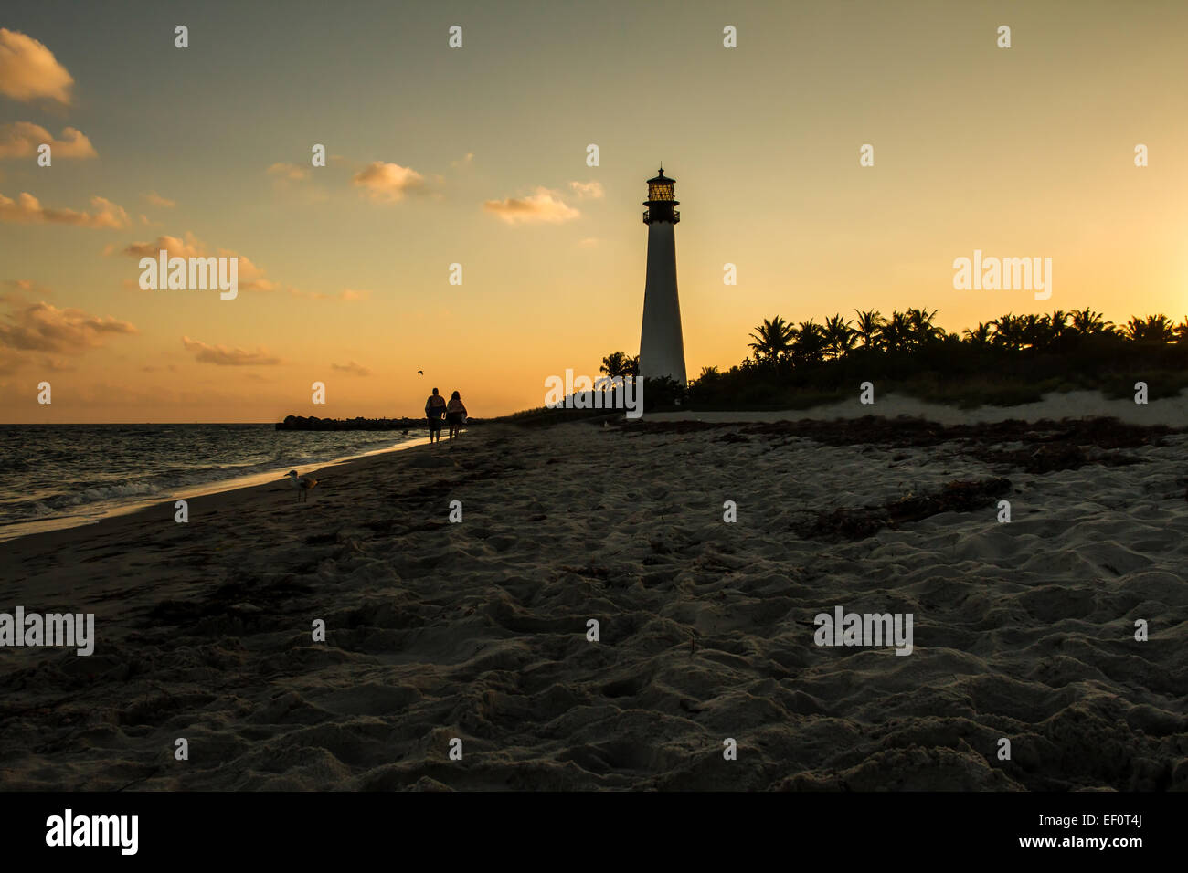 Ein paar zu Fuß am Strand des Leuchtturms auf Sonnenuntergang an der Florida State Park in Key Biscayne, Miami, Vereinigte Staaten Stockfoto