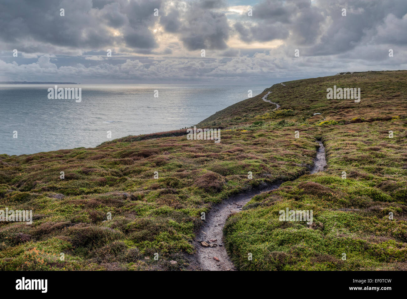 Frankreich, Bretagne, Finistere, Halbinsel Crozon, Pointe de Pen Hir oder Kap Pen Hir Stockfoto