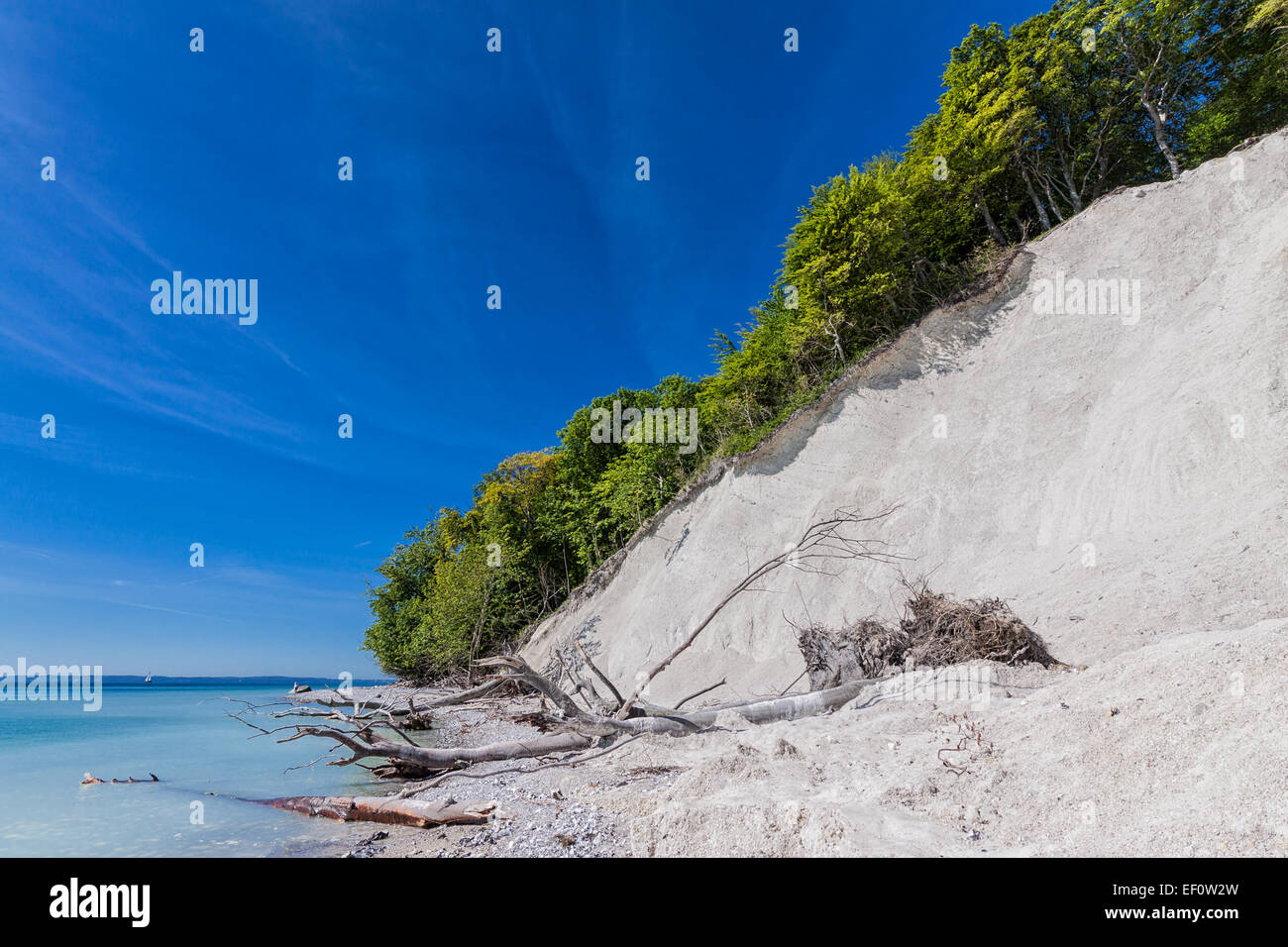 Kreidefelsen Sie an der Küste der Ostsee auf der Insel Rügen (Deutschland). Stockfoto