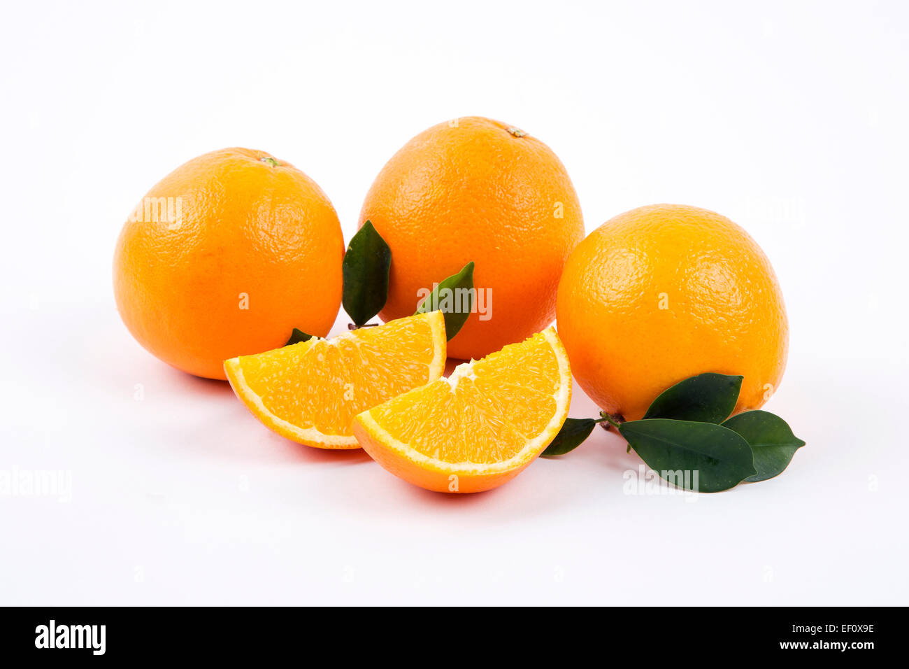 Frische Orangen mit Blättern auf weißem Hintergrund Stockfoto