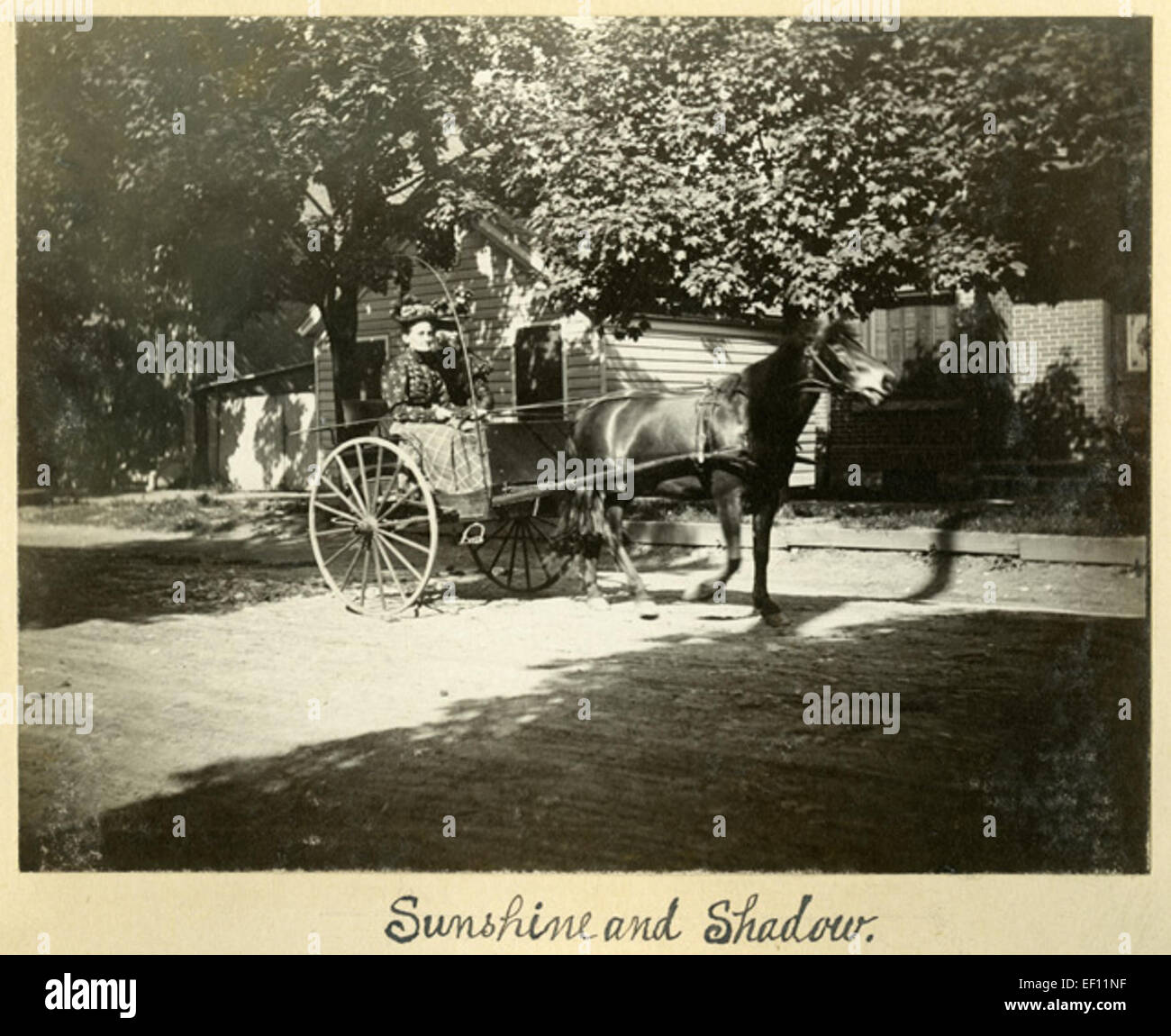 Das Foto mit dem Titel „Sonnenschein und Schatten“ fängt einen Moment des Lichts und Kontrasts ein und zeigt wahrscheinlich, wie Sonnenlicht mit Schatten in einer natürlichen oder städtischen Umgebung interagiert. Das Spiel von Licht und Schatten ist ein beliebtes Thema in der bildenden Kunst und Fotografie. Stockfoto