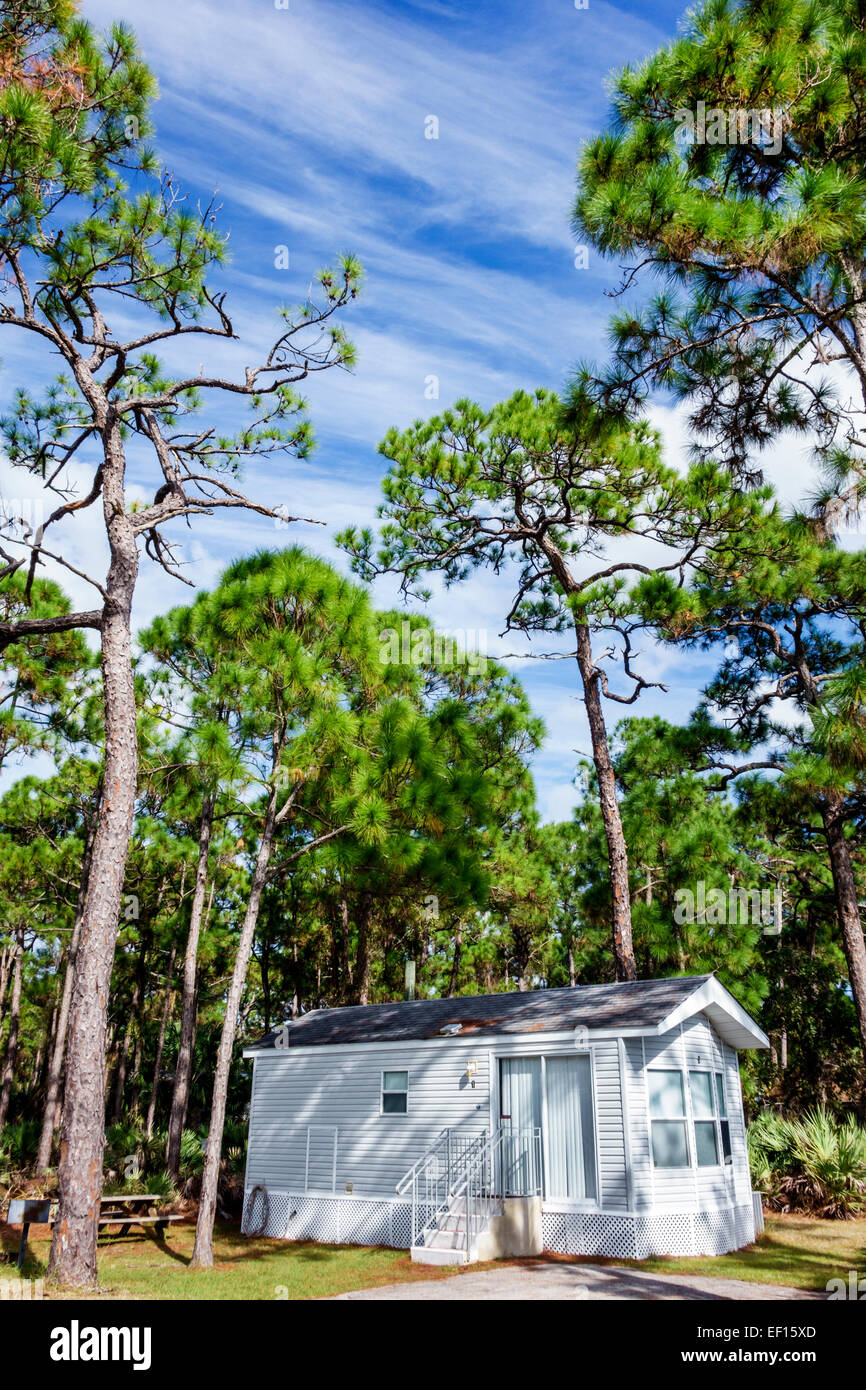 Hobe Sound Florida, Tequesta, Jonathan Dickinson State Park, Natur, natürliche Landschaft, Miethütte, Pinien, FL141120073 Stockfoto