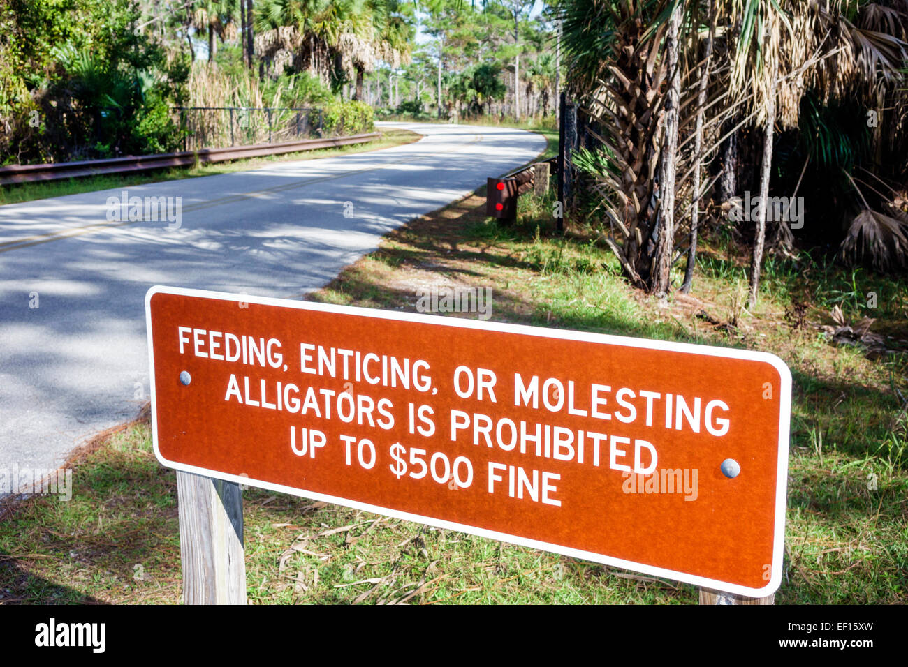 Hobe Sound Florida, Tequesta, Jonathan Dickinson State Park, Park Drive, Straße, Schild, Fütterung von Alligatoren verboten, FL141120080 Stockfoto