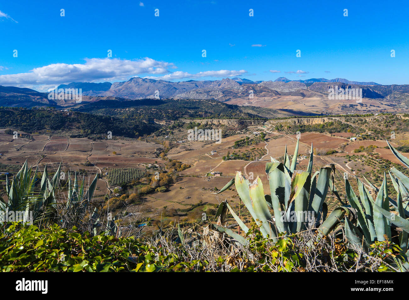 Blick auf die Berge in der Nähe von Ronda, Andalusien, Spanien Stockfoto