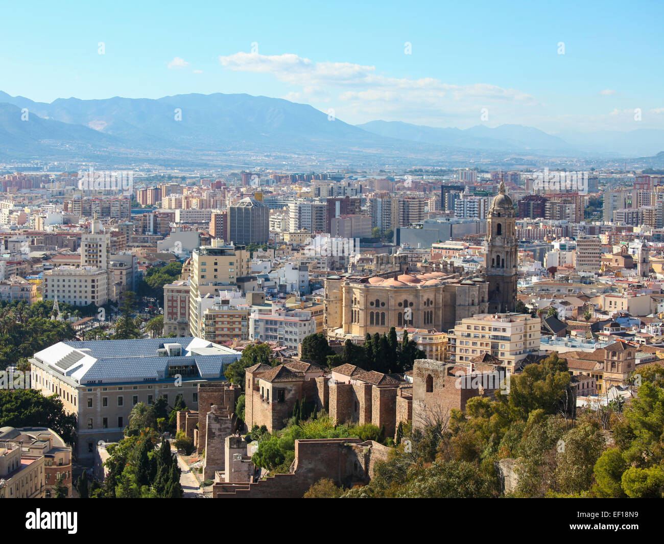 Blick auf das Zentrum und die Kathedrale von Malaga, Andalusien, Spanien. Stockfoto