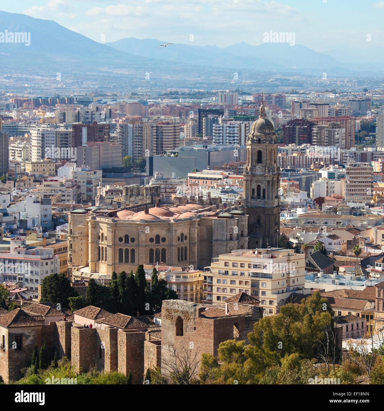 Blick auf die berühmte Kathedrale von Malaga, Andalusien, Spanien. Stockfoto