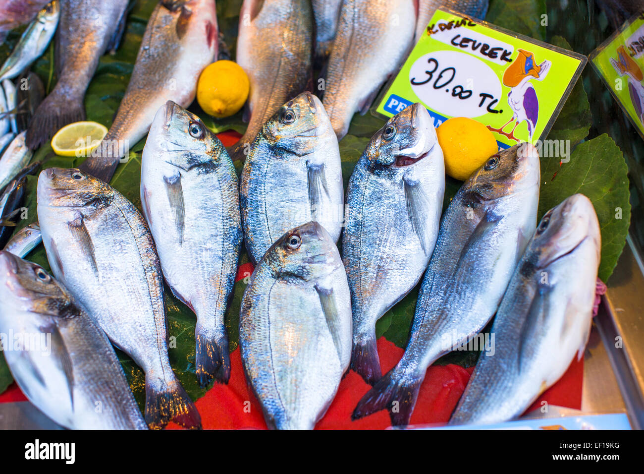 Fischmarkt mit frischen Fischen Stockfoto