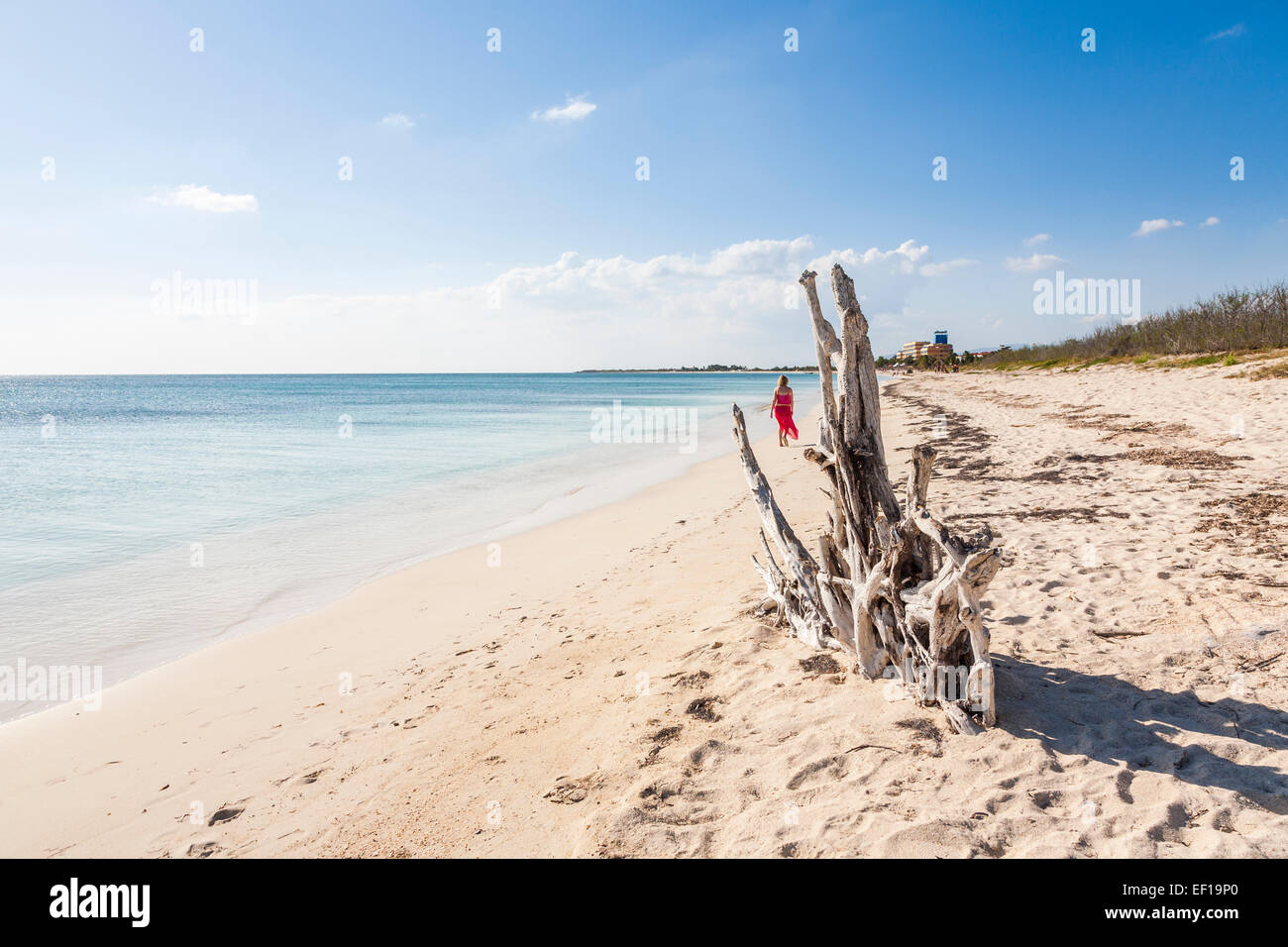 Schönen menschenleeren, unberührten weißen Sandstrand und azurblauen Meer unter einem blauen Himmel mit weißen Wolken in Trinidad, Kuba mit Treibholz an der Küste Stockfoto