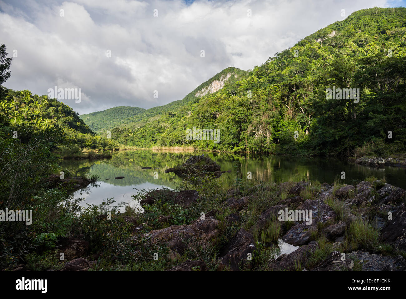 Die Macal Fluss, der durch den üppigen Dschungel von Belize, Mittelamerika. Stockfoto