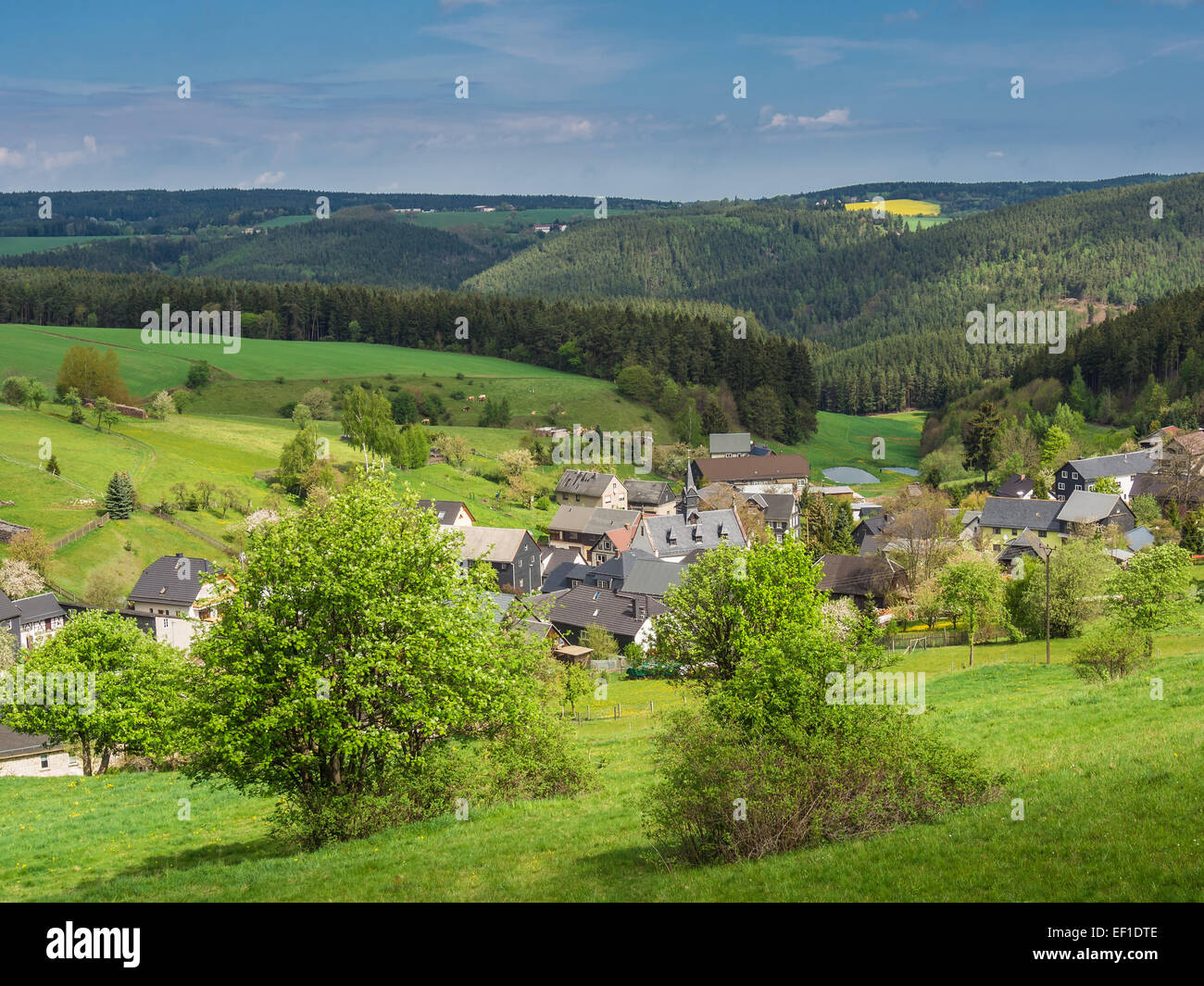 Blick auf ein Dorf im Thüringer Wald (Deutschland). Stockfoto