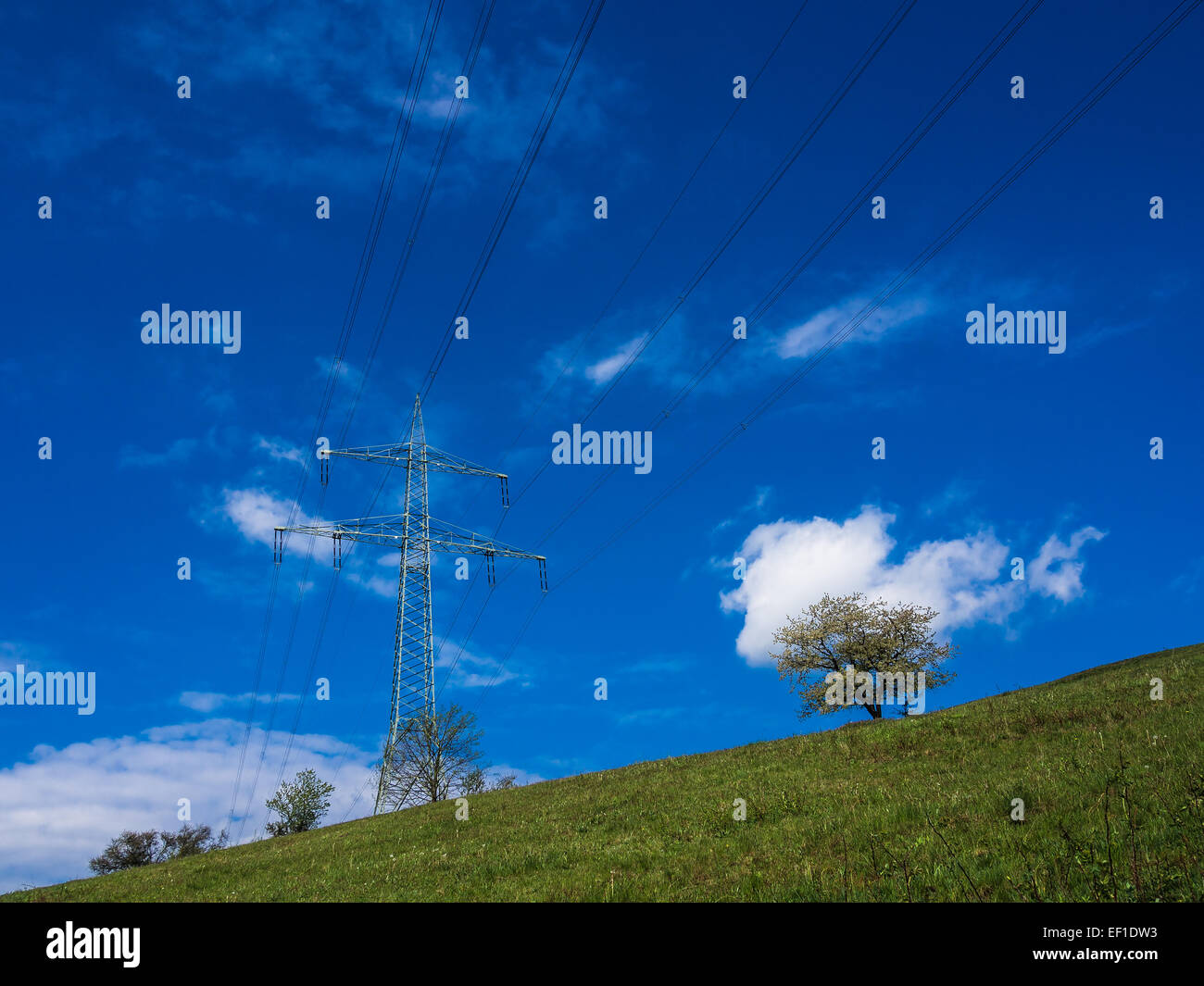 Ein Strommast auf einem Berg. Stockfoto
