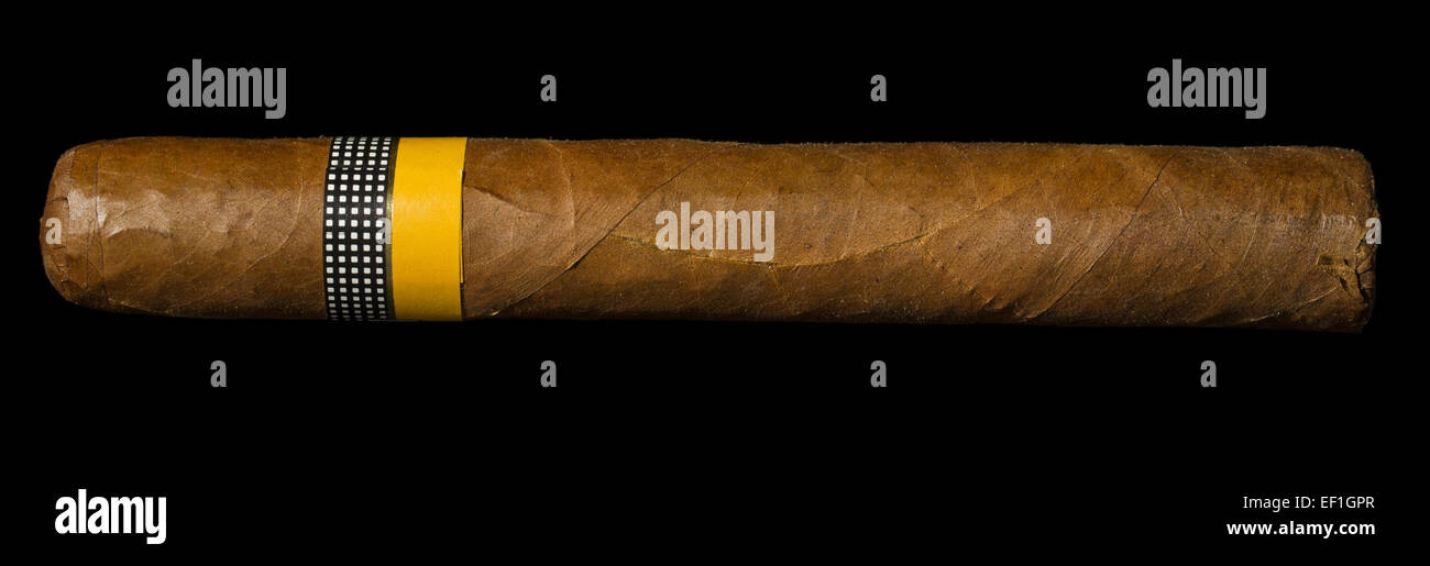 Eine große und exklusive kubanische Zigarre auf schwarzem Hintergrund. Stockfoto