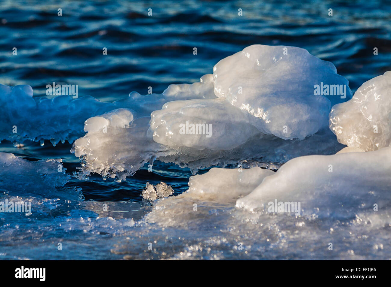 Eis am Ufer der Ostsee. Stockfoto