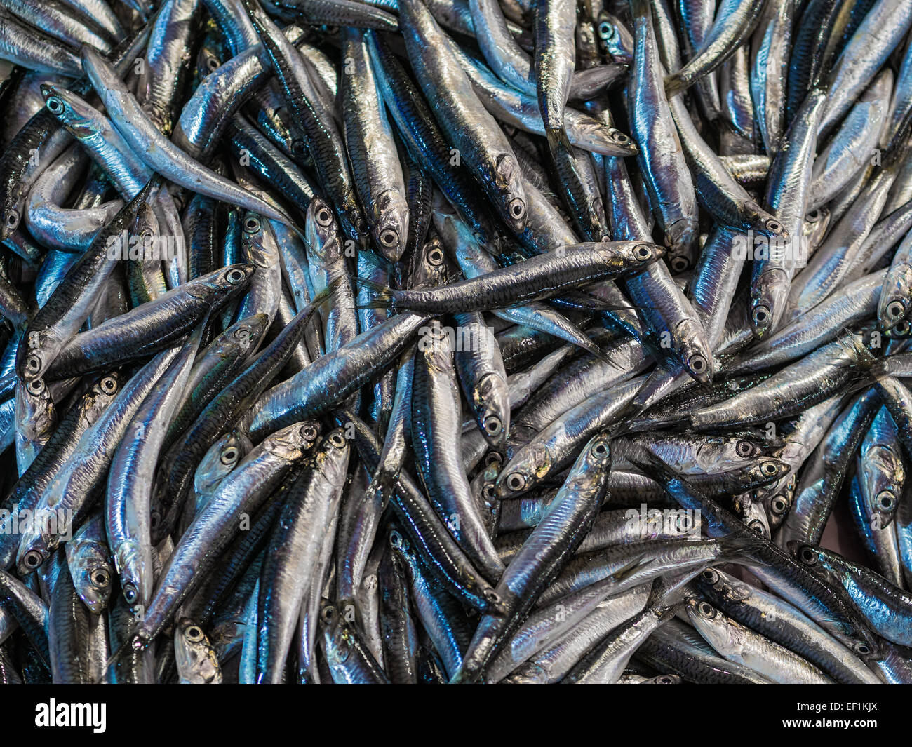 Fische auf einem Markt in Istanbul (Türkei). Stockfoto