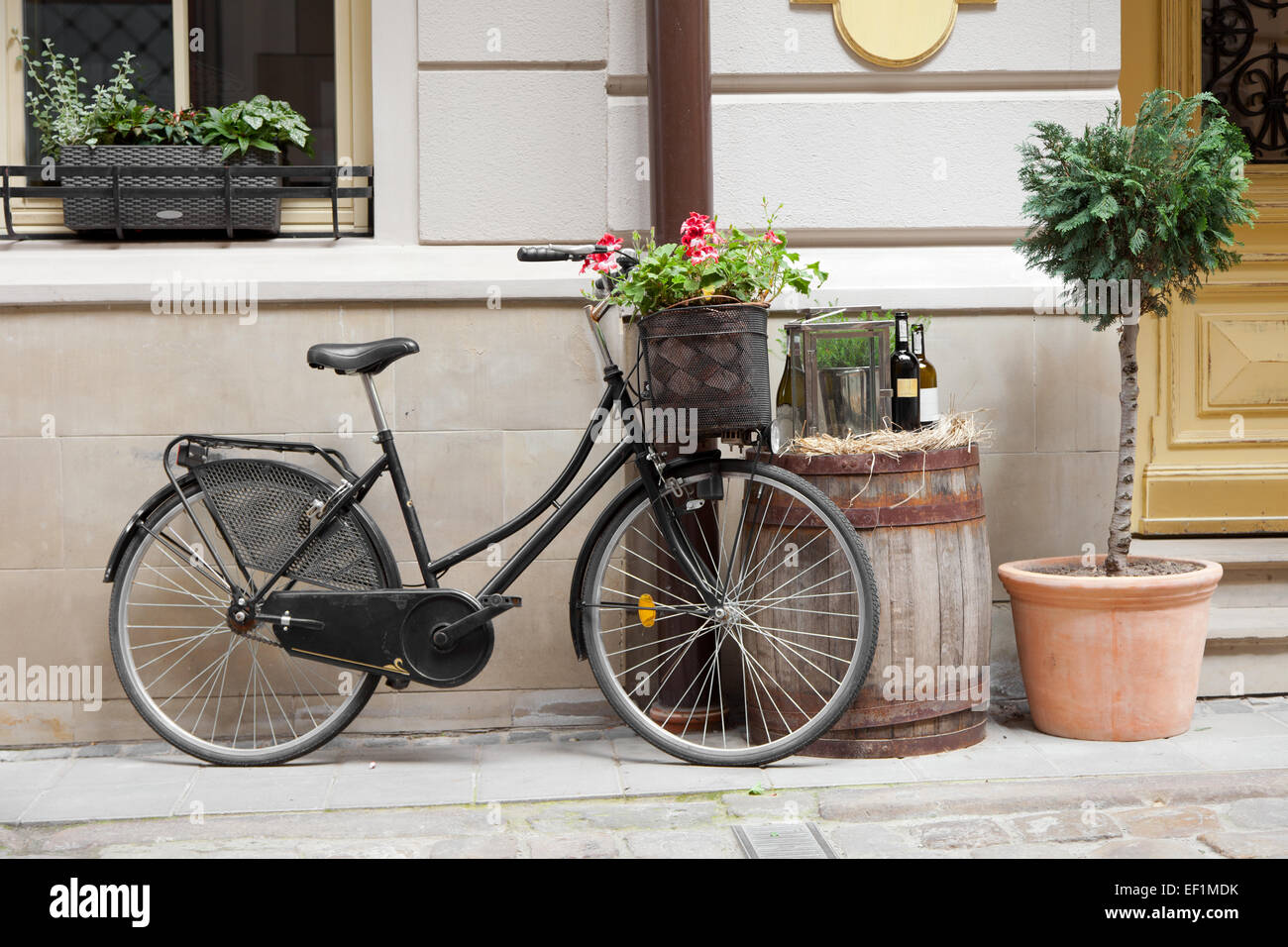 Altes Fahrrad tragen Blumen als Dekoration, Holzfass mit Flaschen Wein und Baum im Blumentopf Stockfoto