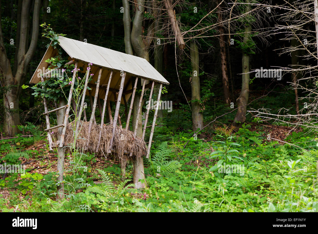 Futterhäuschen für Tiere im Wald Stockfoto