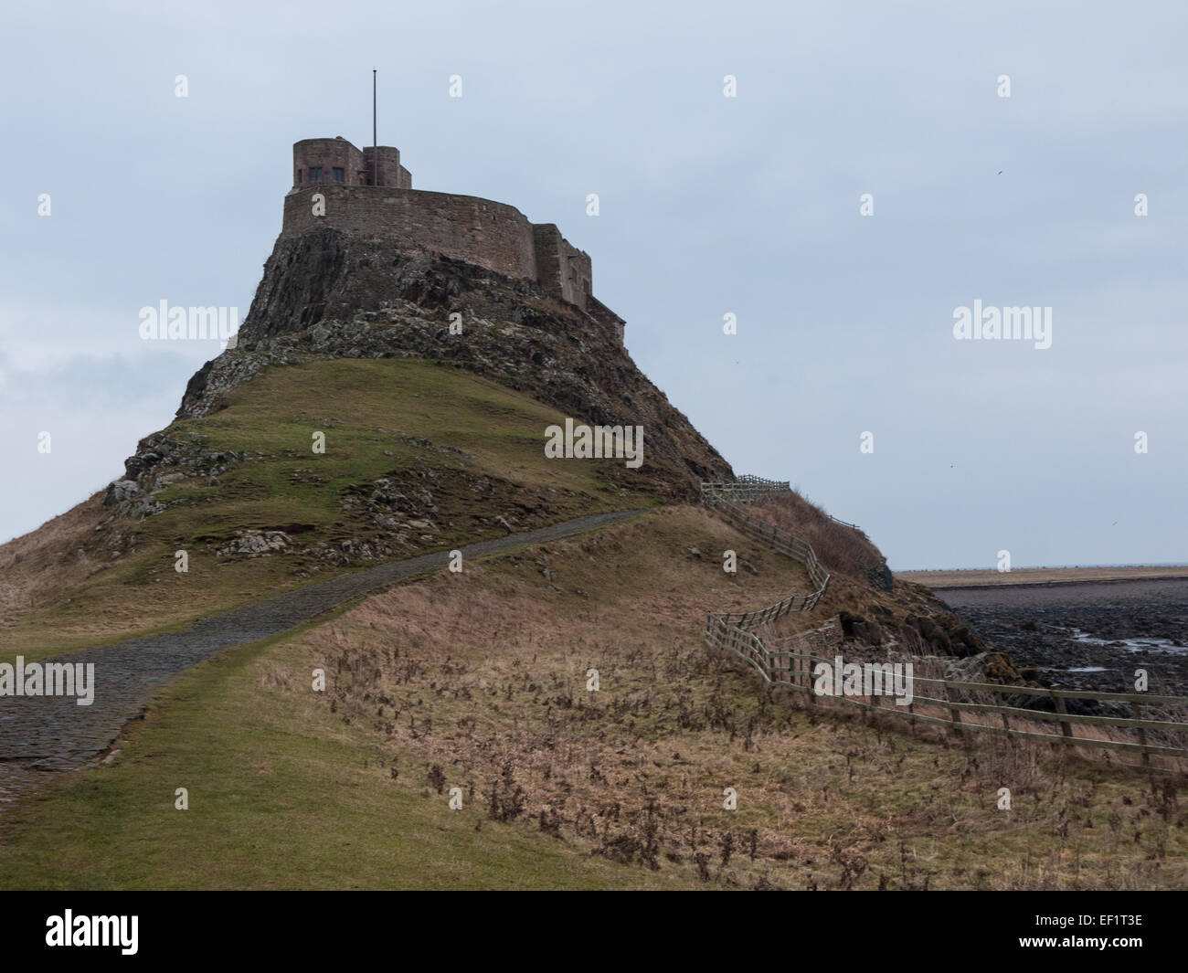 Lindisfarne Schloß auf der Heiligen Insel Lindisfarne Stockfoto