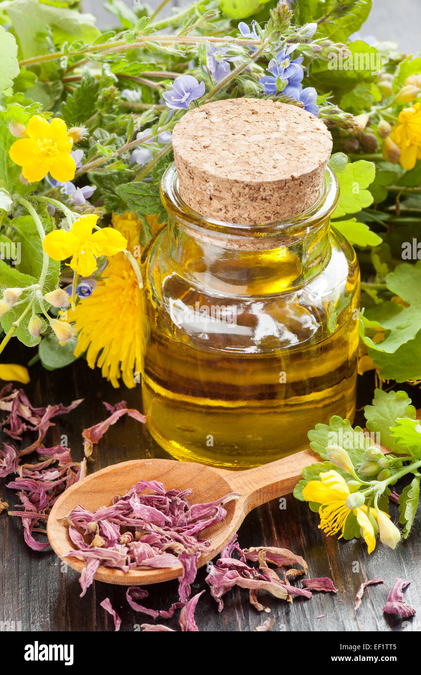 Glasflasche ätherisches Öl und heilende Kräuter, pflanzliche Arzneimittel Stockfoto