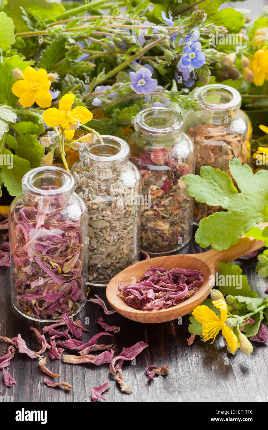 Heilkräuter in Glasflaschen, gesunde Blumen und Holzlöffel, Kräutermedizin Stockfoto
