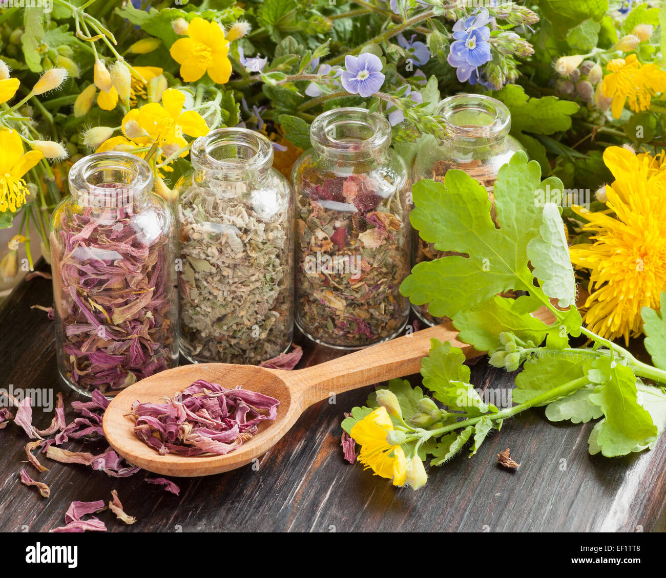 Heilkräuter in Glasflaschen, gesunde Pflanzen und Holzlöffel, Kräutermedizin Stockfoto