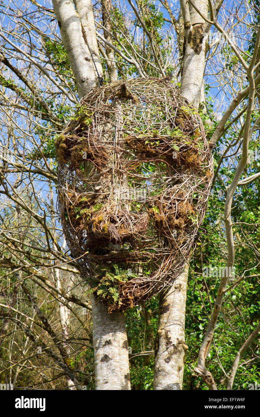 Tarka Trail; In der Nähe von Torrington; Riesen in der Wald-Kunst zu arbeiten; Devon; UK Stockfoto