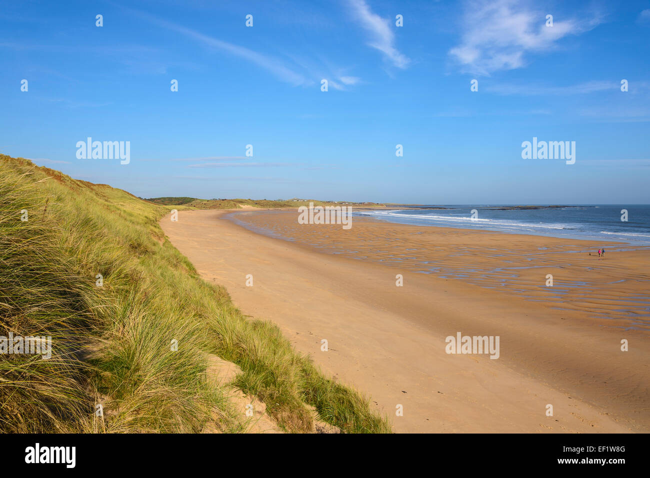 Embleton Bay, Northumberland, England Stockfoto