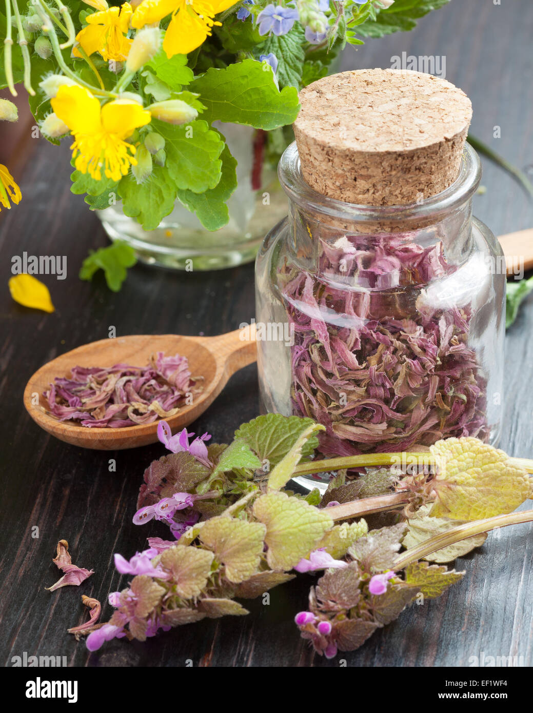 Glasflasche mit Holzlöffel, Kräutermedizin, heilende Kräuter und gesunde Blumen Stockfoto