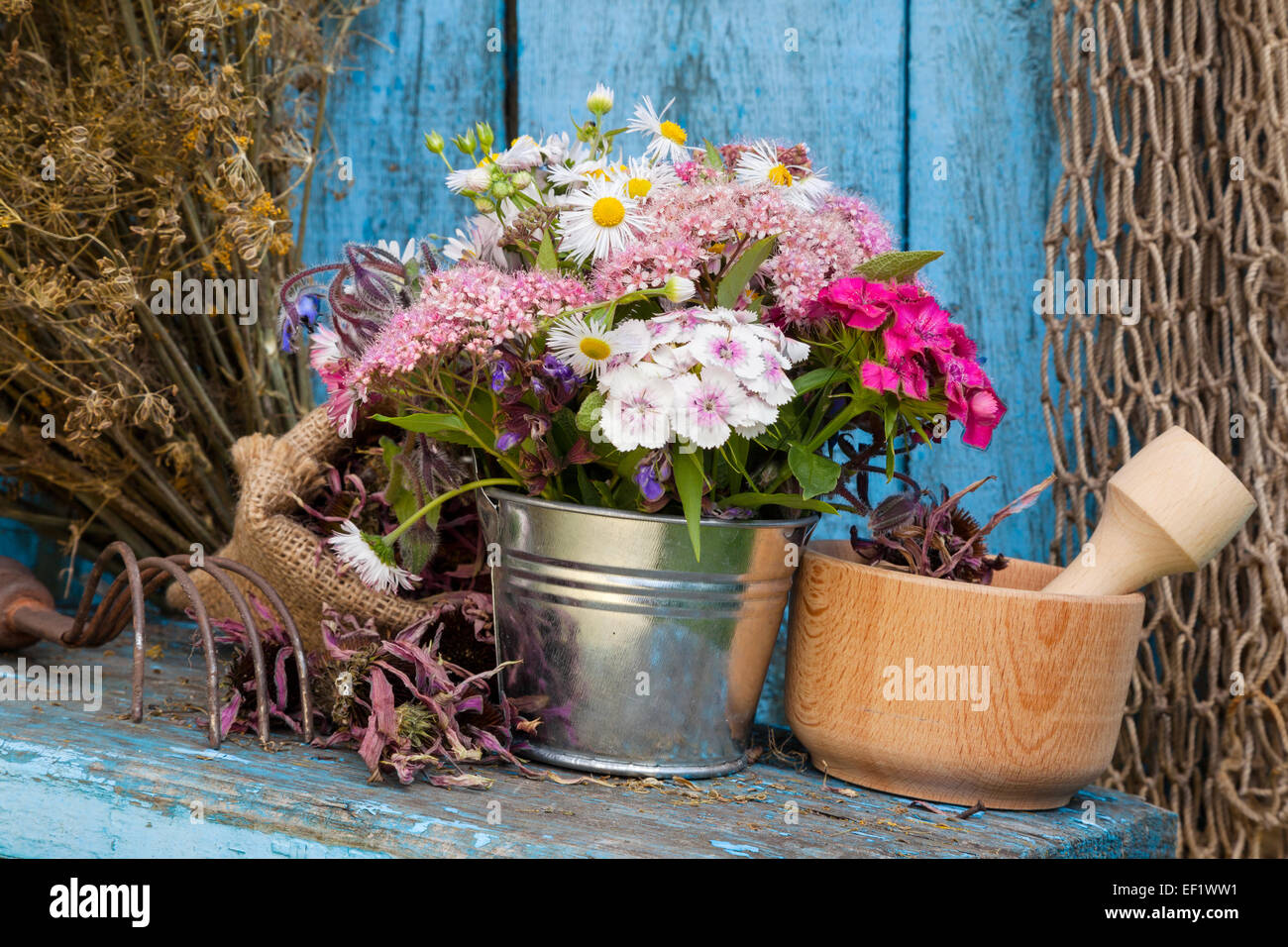 Gartenblumen im Eimer und Mörtel mit heilenden Kräutern Stockfoto