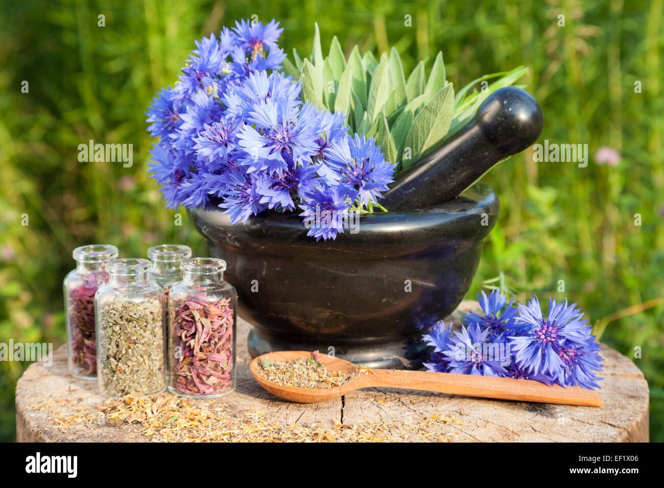 Schwarzer Mörtel mit blauen Kornblumen, Salbei, Holzlöffel und Glasflasche. Pflanzliche Arzneimittel Stockfoto