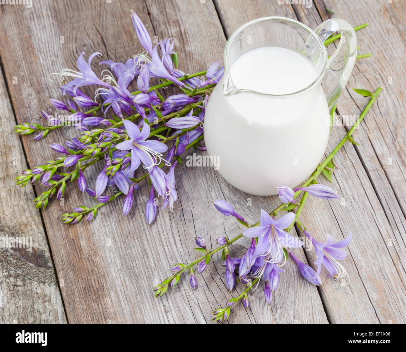Milch Kanne und Bluebell Blumen Haufen auf rustikalen Holztisch Stockfoto