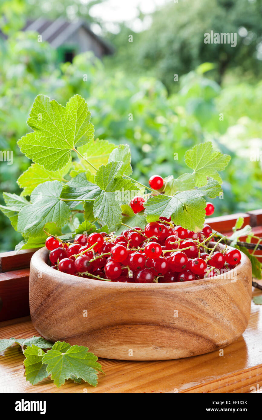 Reife rote Johannisbeeren in Holzschale auf Fensterbank Stockfoto