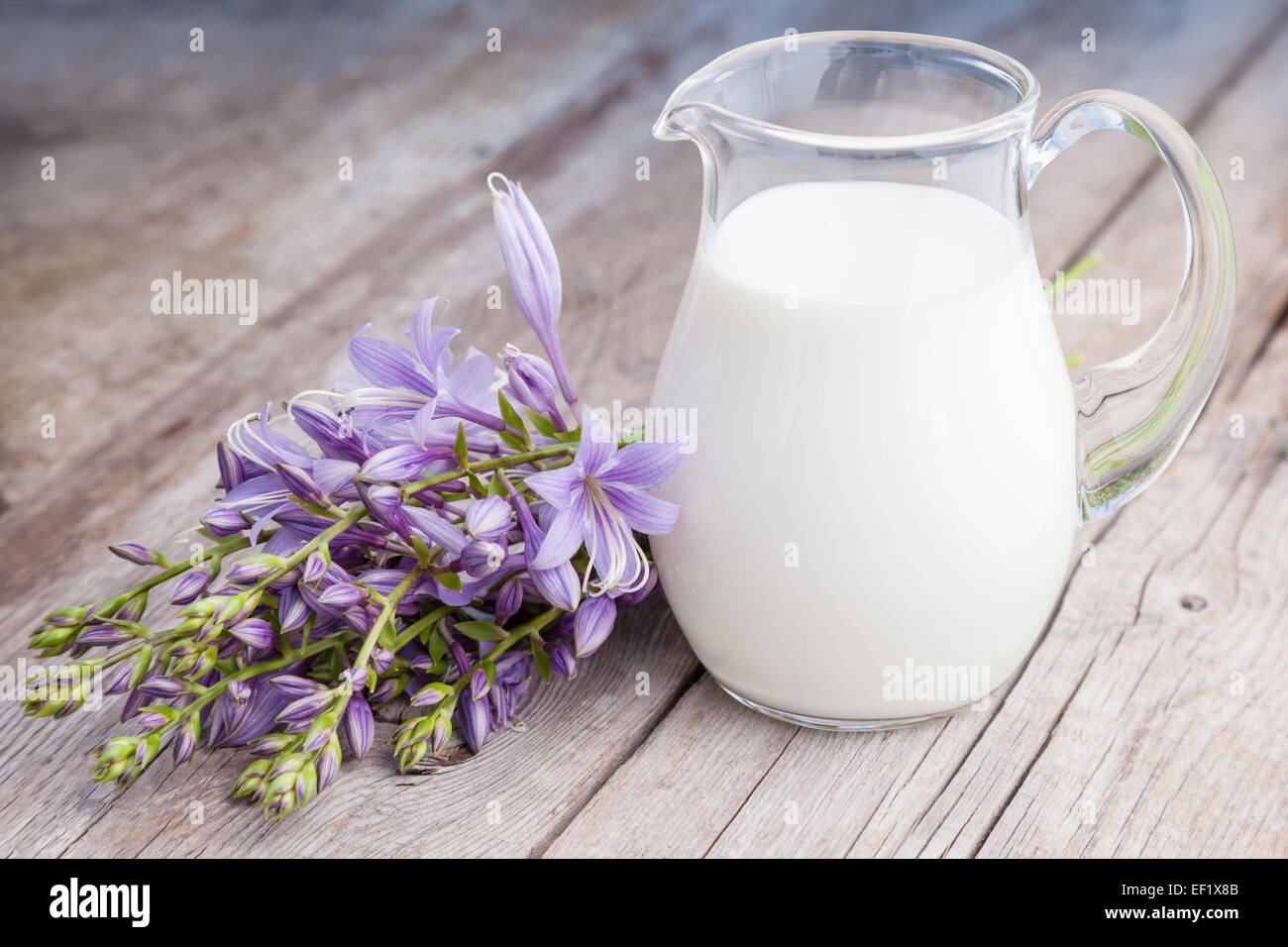 Frische Milch Krug und Bluebell Blumen Haufen auf rustikalem Holzbrett Stockfoto