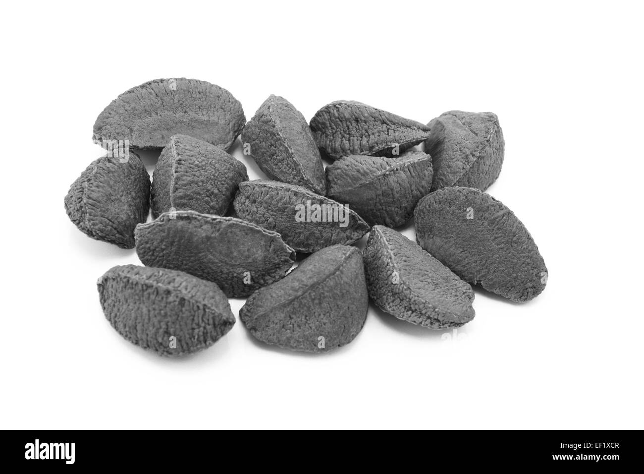 Paranüsse in Schalen, isoliert auf einem weißen Hintergrund - monochrome Verarbeitung Stockfoto