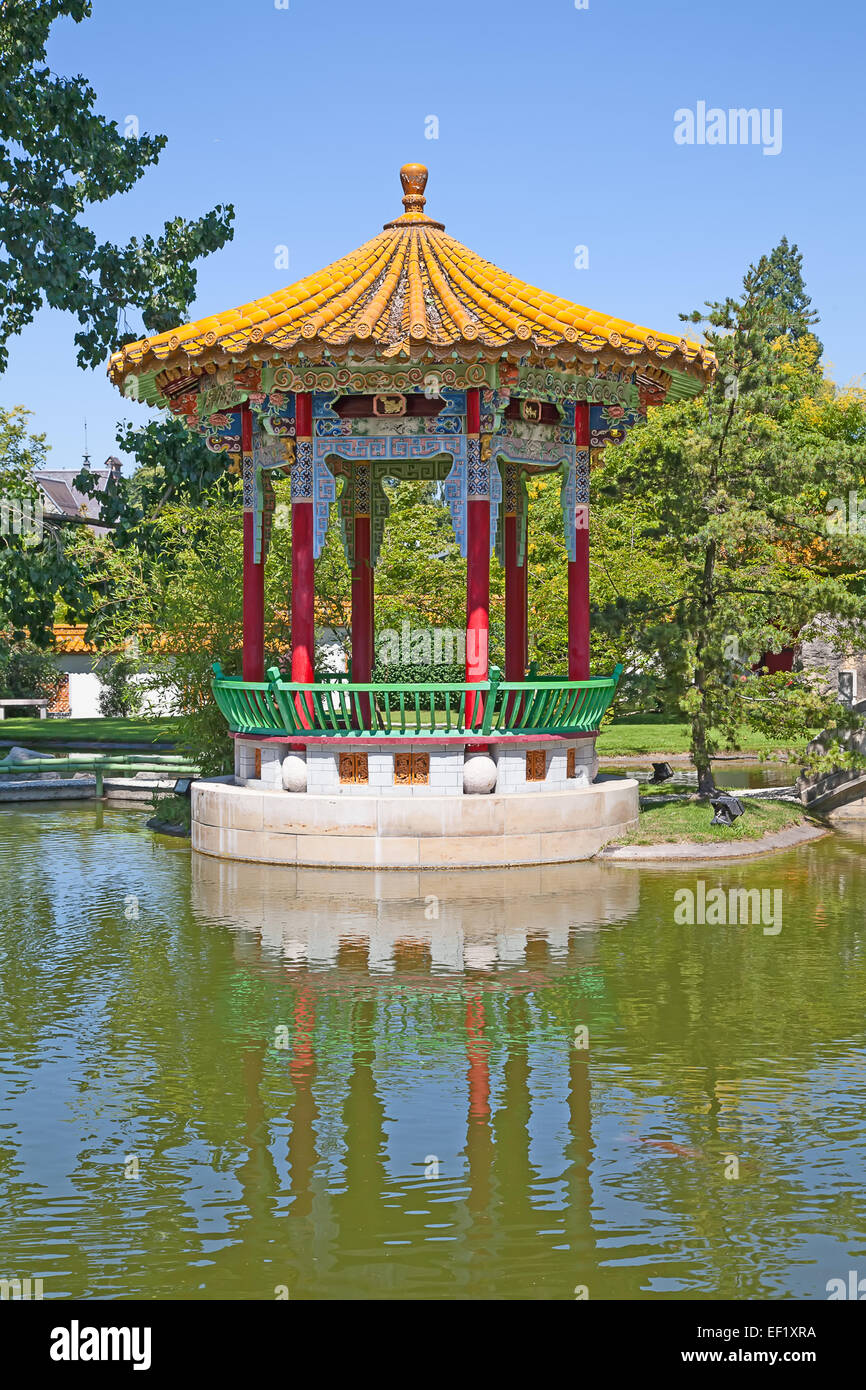 Goldener peking bambus Fotos und Bildmaterial in hoher Auflösung Alamy